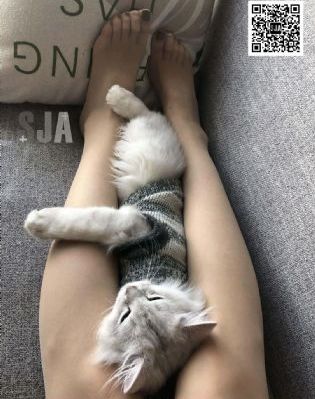 免费看的片