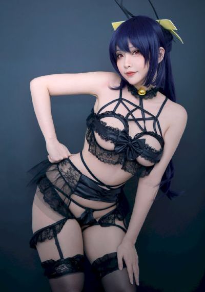 细狗网页版登录入口