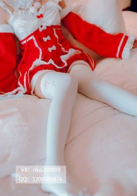 番茄视频在线观看