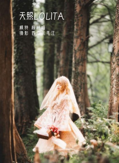 宝可梦太阳和月亮