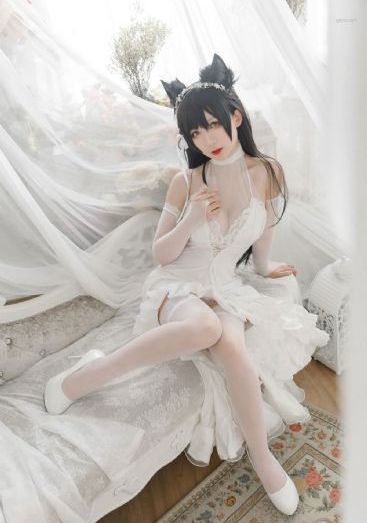 天蝎座之夜电影