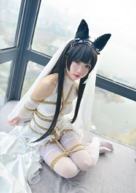 电视剧娘亲舅大全集免费观看