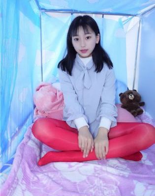 白莲花电视剧完整版免费